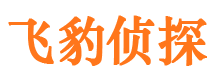 亭湖侦探公司